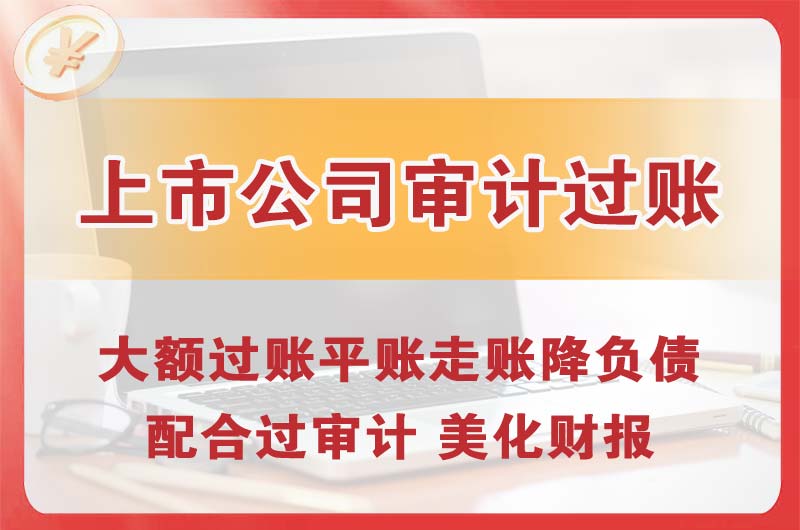 鹿泉上市公司审计过账